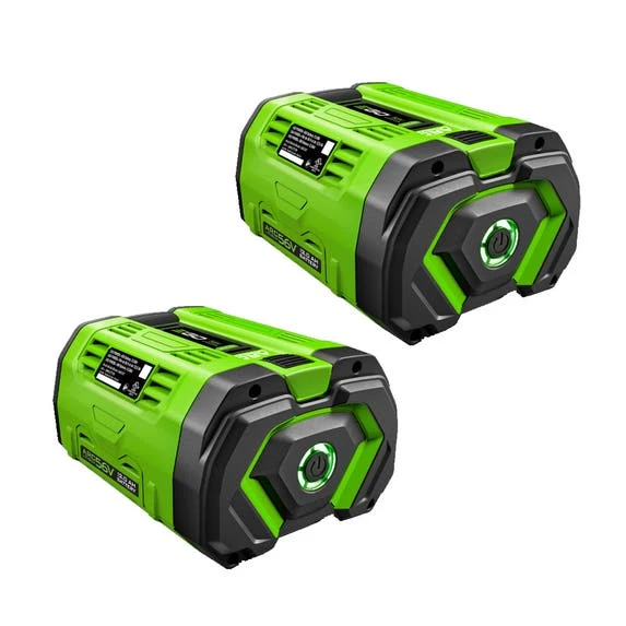 Ego Power Equipment EGO Power+ 12.0Ah ARC 56V Lithium Battery (2 Pack) BA6720T-2